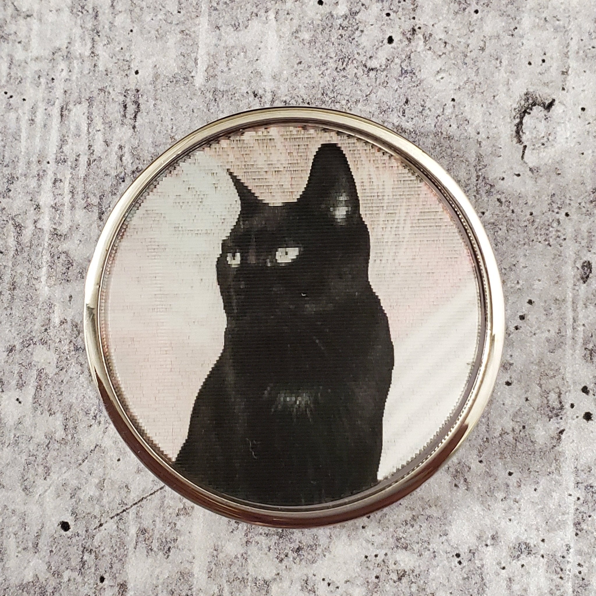 Marc by Marc Jacobs Lenticular Rue Cat Statement Pin - M0002076